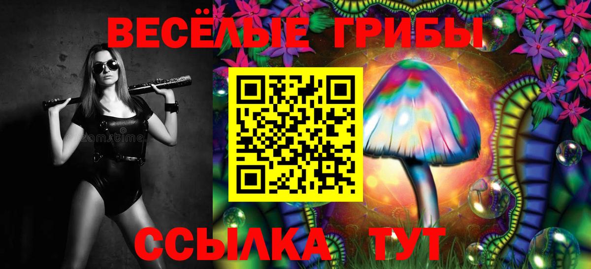 Мичуринск  Галлюциногенные грибы MAGIC MUSHROOMS  Вход с VPN  Псилоцибиновые грибы Magic Shrooms 