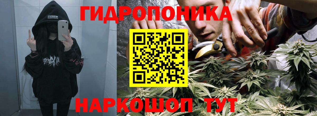 Шишки марихуана тримм Мичуринск