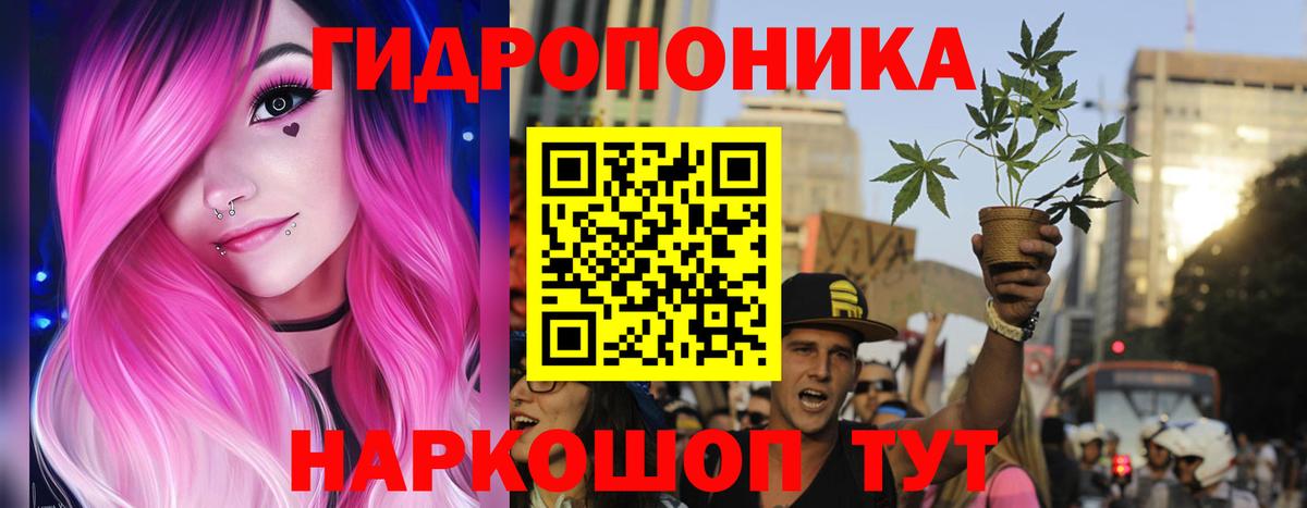 Канабис OG Kush  МАРИХУАНА индика  Бошки Шишки Amnesia  Мичуринск  Вход с VPN 